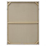 Contemporary View of Giraffes