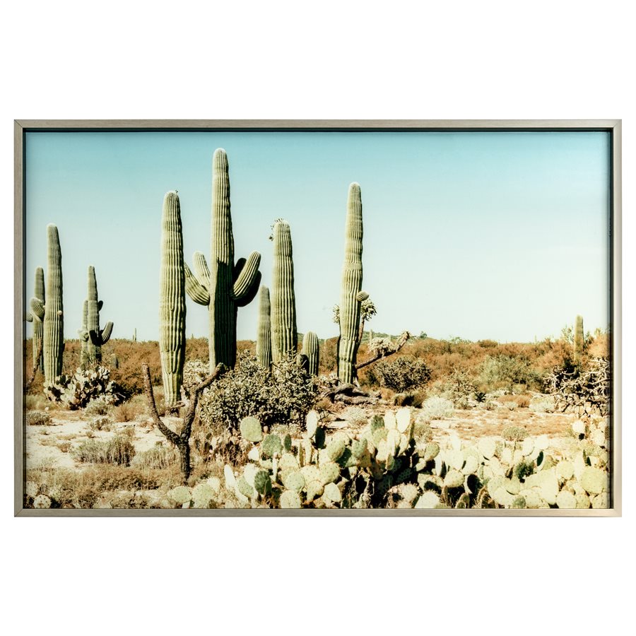 Saguaro