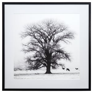 Winter's Morning Fog IV