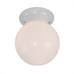 Flushmount Series 5-Inch Incandescent