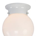 Flushmount Series 5-Inch Incandescent
