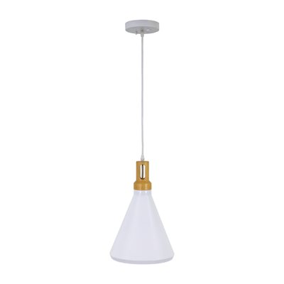 1 Light Pendant in White Finish 1 Light Pendant in White Finish
