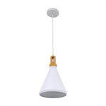 1 Light Pendant in White Finish
