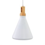 1 Light Pendant in White Finish