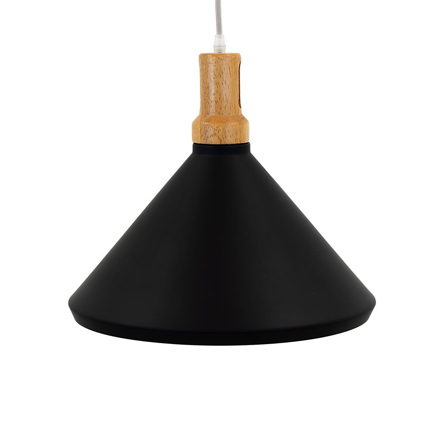 1 Light Pendant in Black Finish