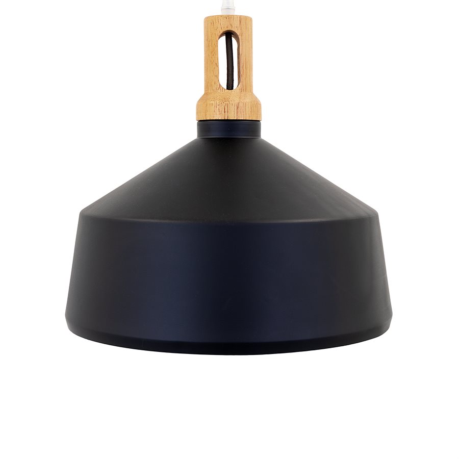 1 Light Pendant in Black Finish