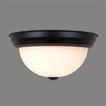 2 Light Flush Mount in Flat Black Finish