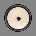 2 Light Flush Mount in Flat Black Finish