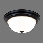 2 Light Flushmount in Flat Black