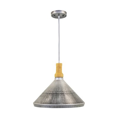 1 Light Pendant in Rolled Steel Finish