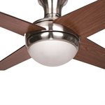 Taysom Collection 52-Inch Indoor Ceiling Fan
