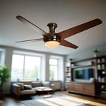 Taysom Collection 52-Inch Indoor Ceiling Fan